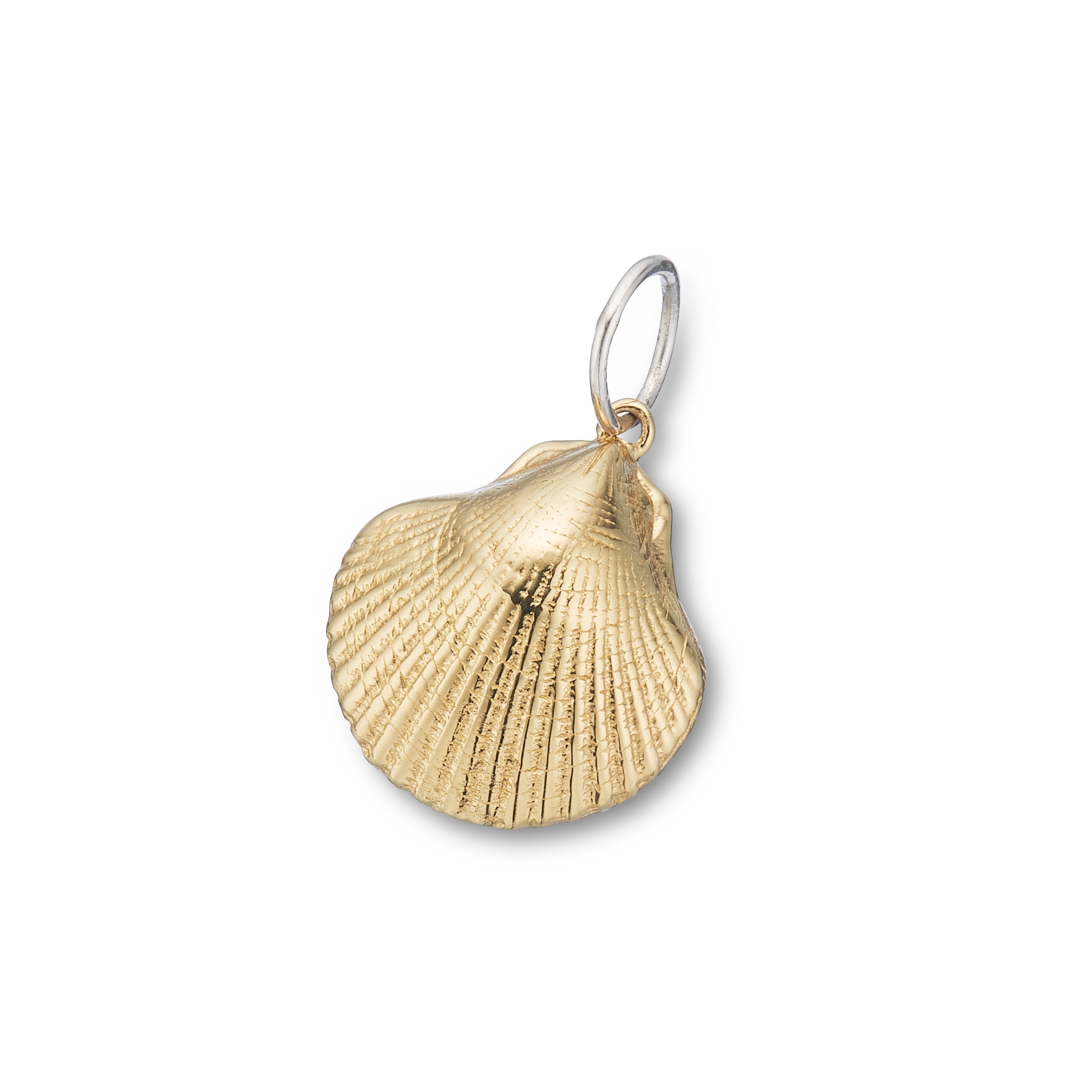 Gift of the sea shell charm