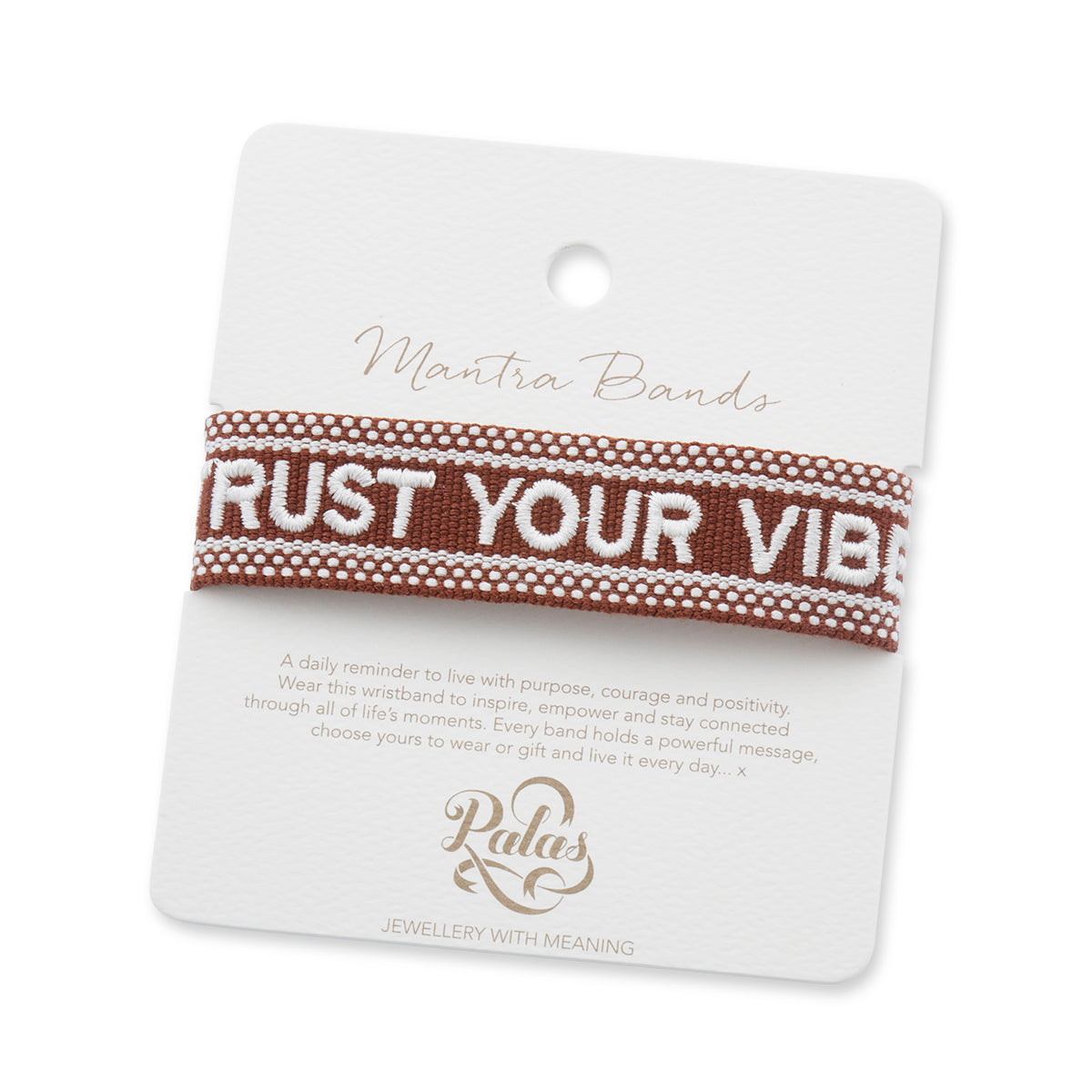 Trust Your Vibes Mantra Band