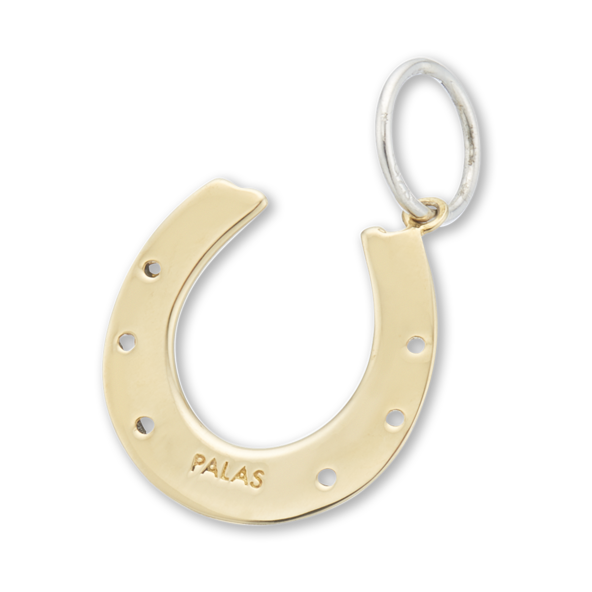 Horseshoe good luck charm