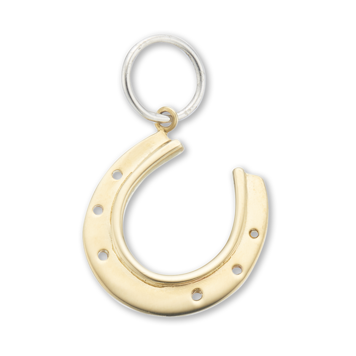 Horseshoe good luck charm