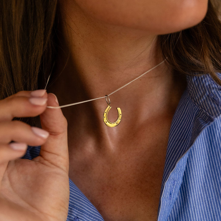 Horseshoe good luck charm