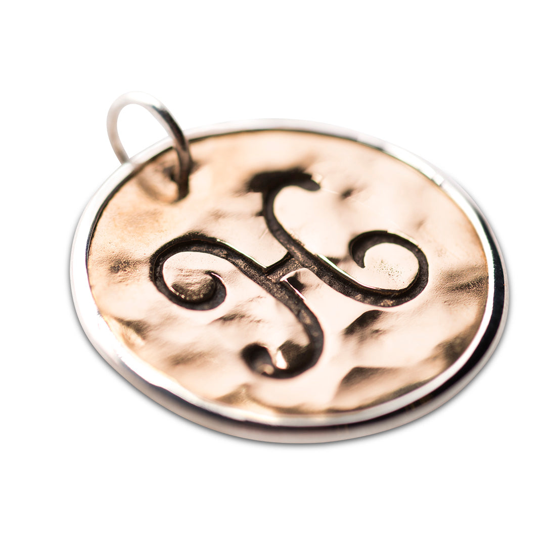 Script initial charm