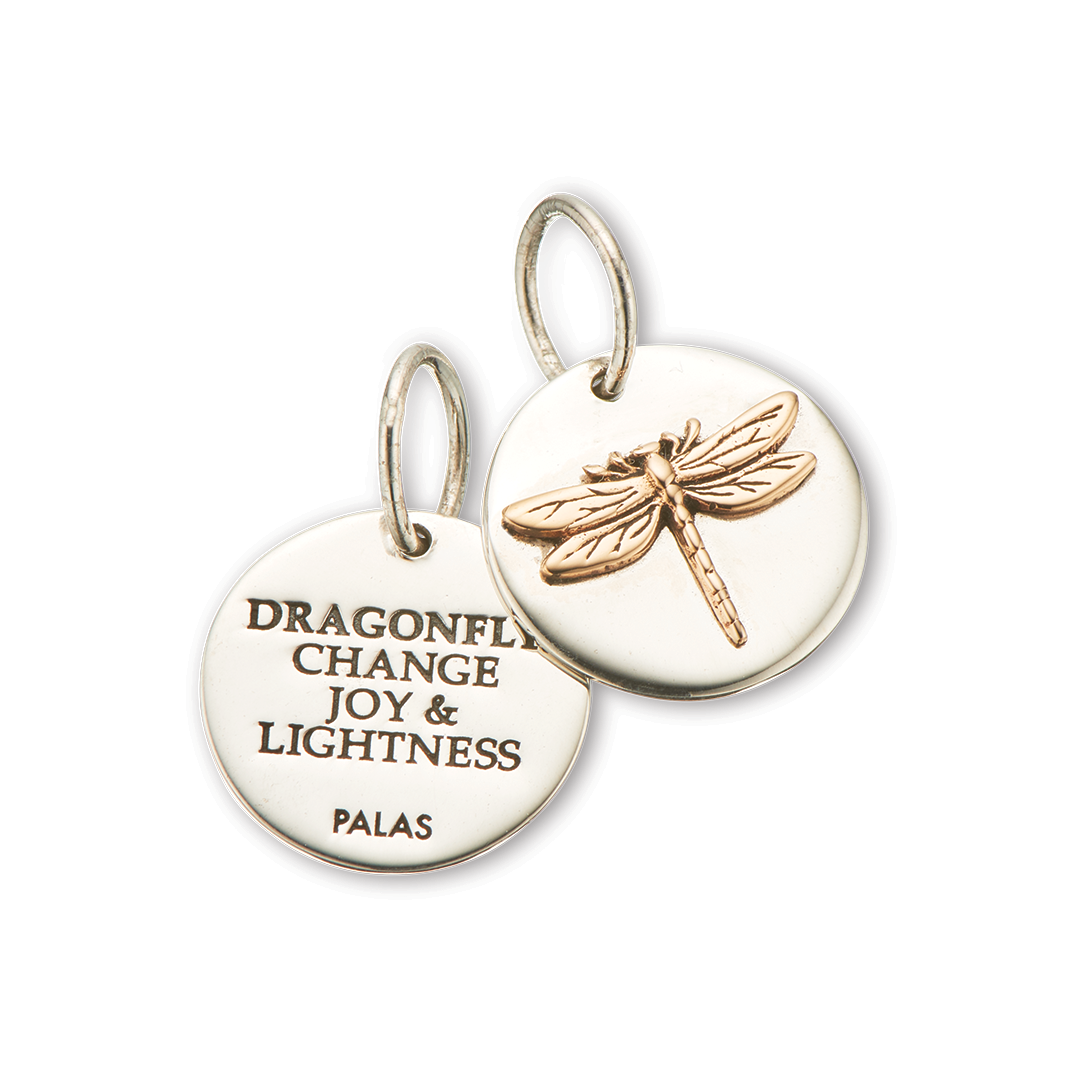 Dragonfly charm