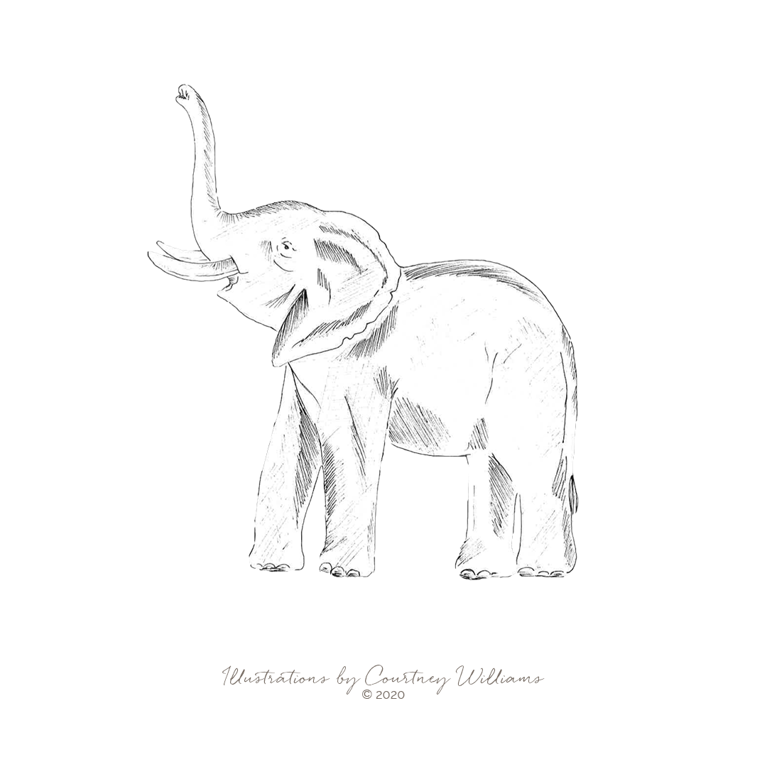Elephant charm