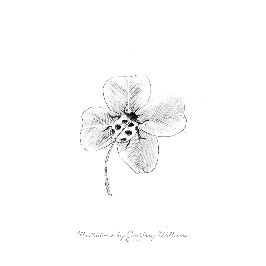 Ladybird charm