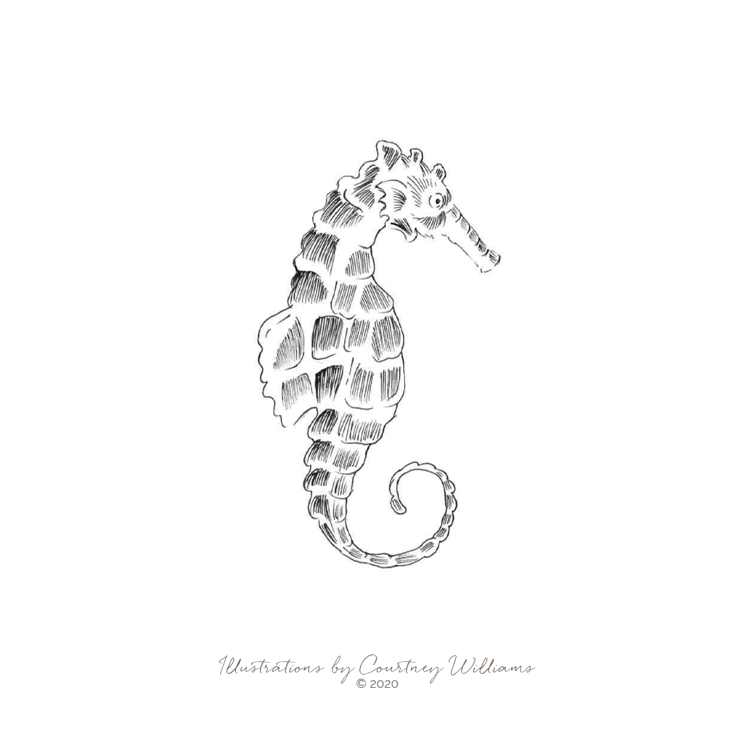 Seahorse charm