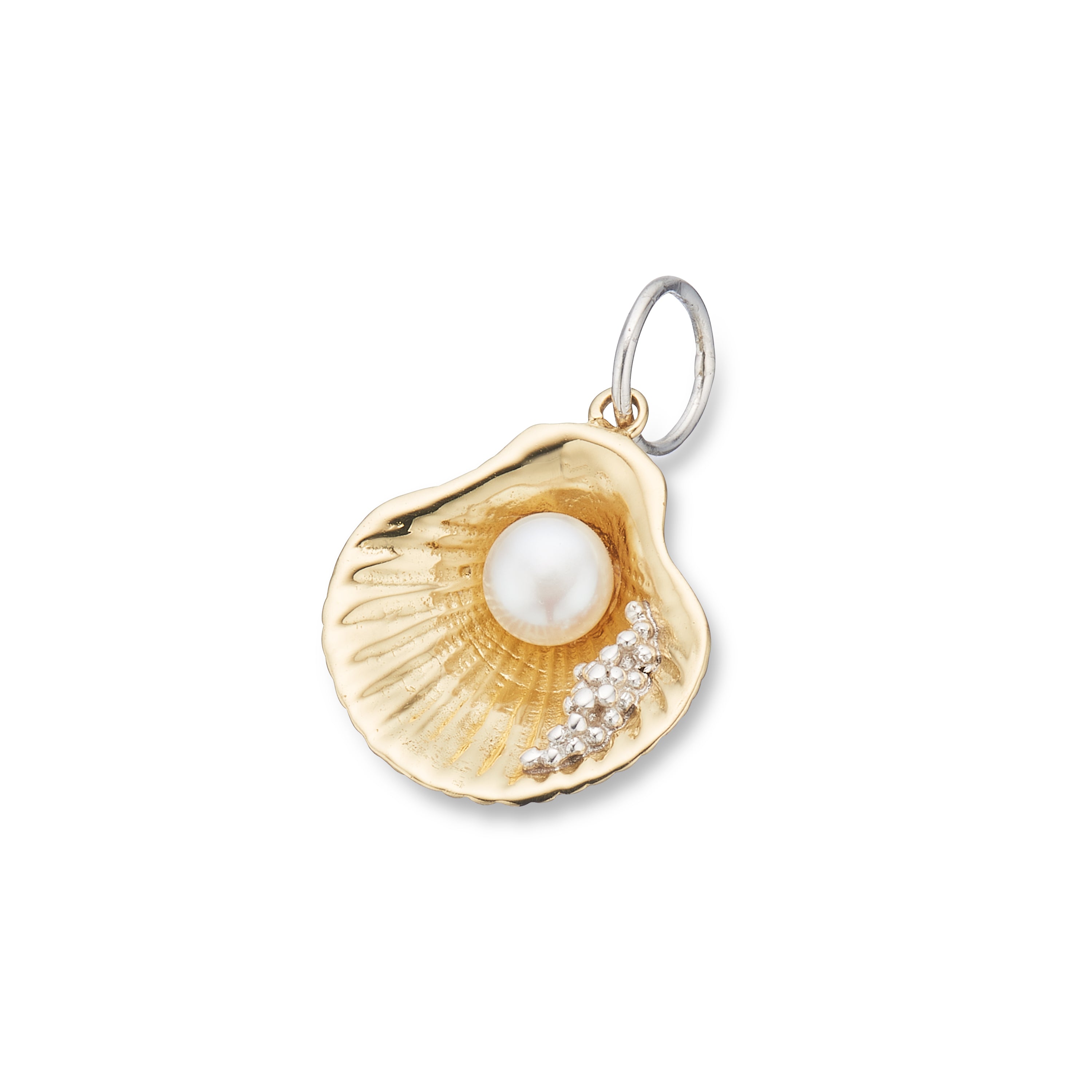 Gift of the sea shell charm